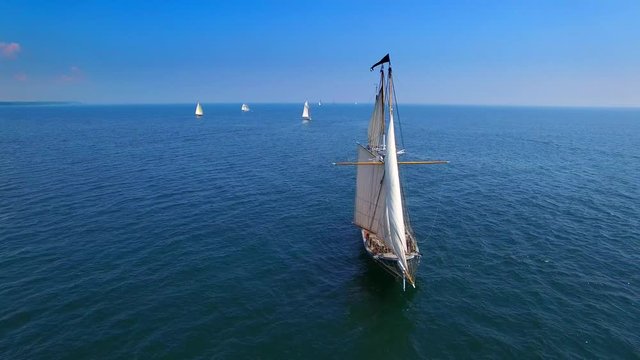 Tall ships at sea, majestic vessels sailing in open waters in good weather.
