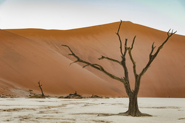 Sunrise at Deadvlei