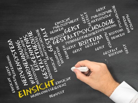Einsicht