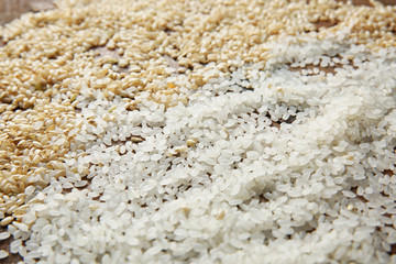 Different kinds of rice background