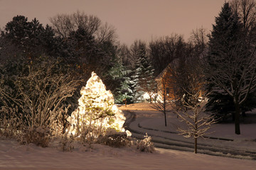 Outdoor decorated christmas tree covered by fresh snow glowing in the dark. Night scene background.