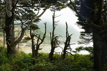 Devil's Churn, Oregon, misty day