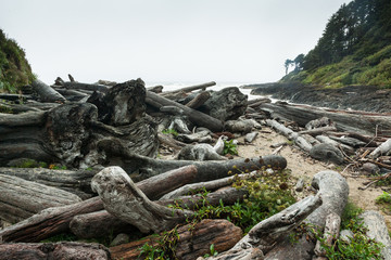 Fototapeta premium Devil's Churn, Oregon, Driftwood