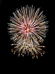 Obraz premium Brightly Colorful Fireworks isolated black background. New Year celebration fireworks.