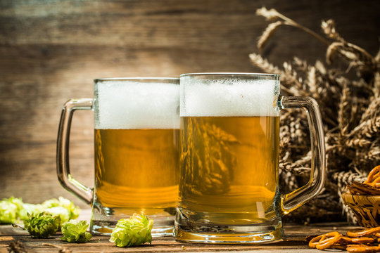 Two tankard beer with wheat and hop on wooden table