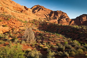 Red Cliffs RA