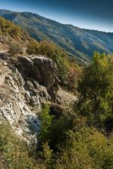 Fall at Wasatch National Forest, Wasatch Range