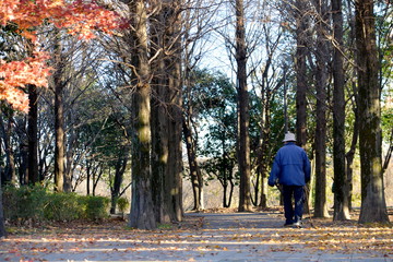 公園で散歩する老人