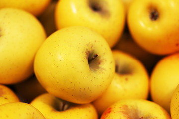 Yellow juicy apples background. Close up