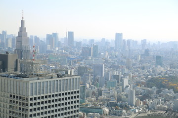 view of the modern buildings of the Nishi Shinjuku district in capital of Japan