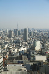 Fototapeta premium Tokyo, Japan cityscape with the Skytree