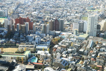 Fototapeta premium Cityscape of Shinjuku,Tokyo,Japan