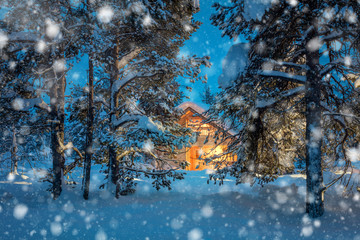 Warm house in night winter forest with snowfall
