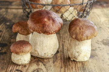 Mushrooms on a wooden table