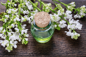 Bottle of green essential oil and lilac flowers