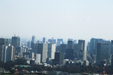 view of the modern buildings of the Shinjuku district in capital of Japan