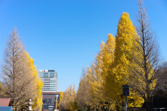 9 Best 大村益次郎像 Images Stock Photos Vectors Adobe Stock 9 Best 大村益次郎像 Images Stock Photos Vectors Adobe Stock