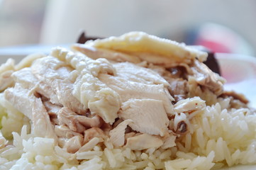 boiled slice chicken topping on rice