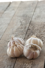 Garlic on the wooden background