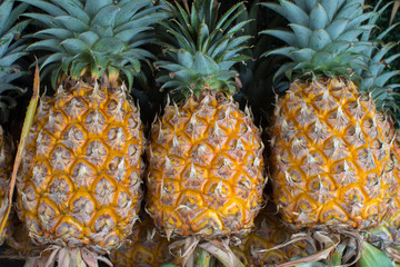 A lot of pineapples, hawaiian pineapples at fresh market with background.