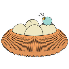 vector set of bird nest and egg