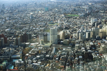 Fototapeta premium capital city of Japan view with Shinjuku districts