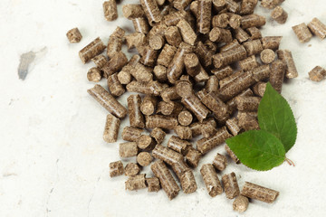 Green leaf on solid wooden pellets background