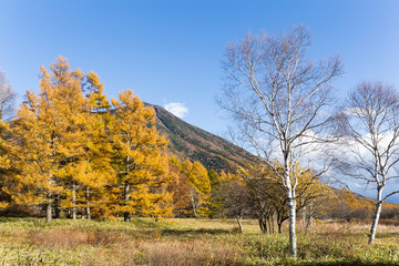 Fototapeta premium Mount Nantai in Nikko of Japan