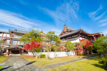 Naklejka premium Maple leaves in Autumn season.Japan