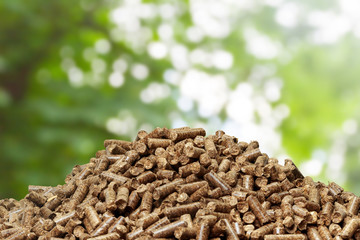 Wood pellets on a green background. Biofuels.