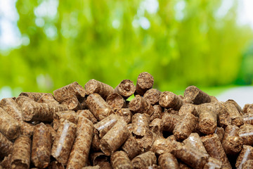 Wood pellets on a green background. Biofuels.