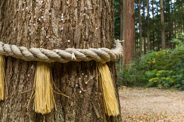 Symbol of Japanese Shrine