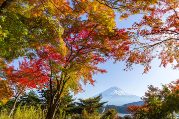 Fujisan in autumn