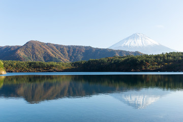 Saiko Lake and mountain Fuji