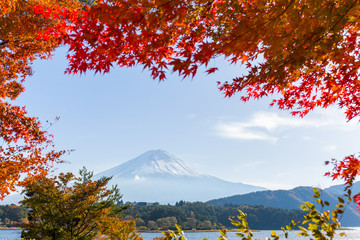 Maple tree and mountain Fuji