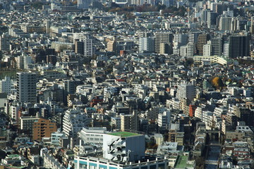 capital city of Japan view with Shinjuku districts