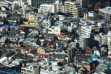 Fototapeta premium capital city of Japan view with Shinjuku districts