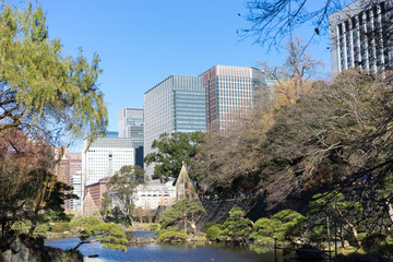 日比谷公園から見える丸の内方面の都市風景