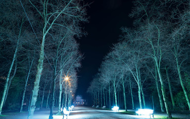Hofgarten at night - Night Shot Dusseldorf (beginning of december)