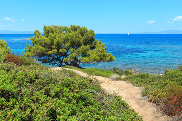 Aegean sea coast (Chalkidiki, Greece).