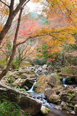 Waterfall in Autumn season.Japan