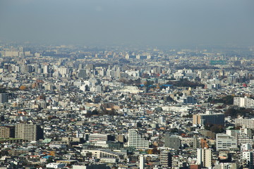 Fototapeta na wymiar aerial view of Shinjuku district modern architecture,Tokyo, Japan