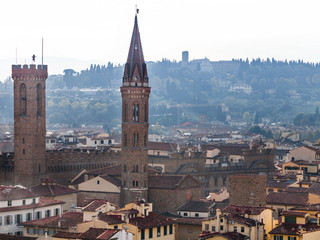 Fototapeta na wymiar above view towers of Badia Fiorentina in Florence