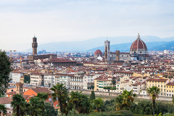 Fototapeta na wymiar above cityscape of Florence city