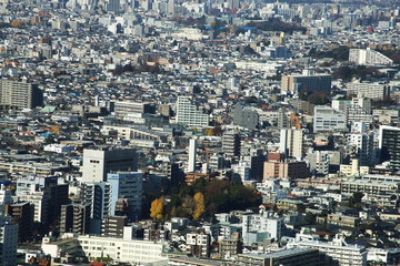 Fototapeta na wymiar aerial view of Shinjuku district modern architecture,Tokyo, Japan