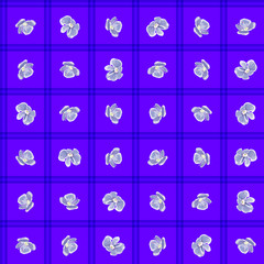 Forget-me-not vector seamless pattern