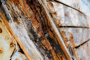texture vieux bois