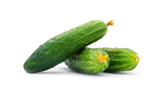  cucumber on white background