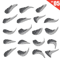 005 Collection of wings design element vector illustration eps10