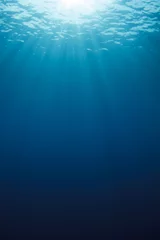 Unterwasserhintergrund im Ozean © Richard Carey